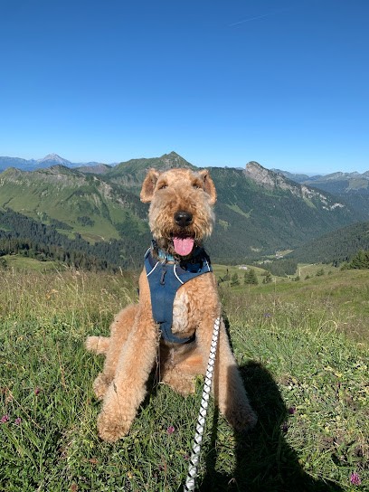 Lavanchy Laurence, Clinique Vétérinaire à Montriond