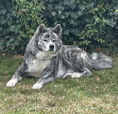 Clinique Veterinaire Le Grand Souffle, Clinique Vétérinaire à Saint-Jean-de-Muzols