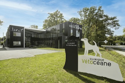 Clinique Vétocéane, Clinique Vétérinaire à Vertou