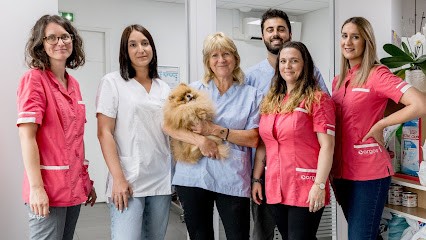 Veterinary Clinic Argos Villenave Ornon, Clinique Vétérinaire à Villenave-d'Ornon