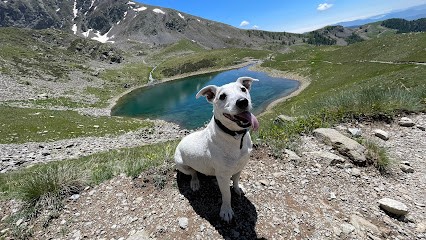 Veterinary Clinic CAP 3000, Clinique Vétérinaire à Saint-Laurent-du-Var
