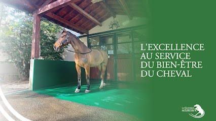 La Clinique Du Cheval, Centre Hôpitalier Vetérinaire Equin, Clinique Vétérinaire à Grenade