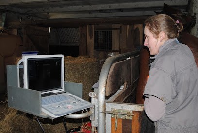Equin.vet - Vétérinaire équin à Domicile (DPE), Clinique Vétérinaire à Nonant