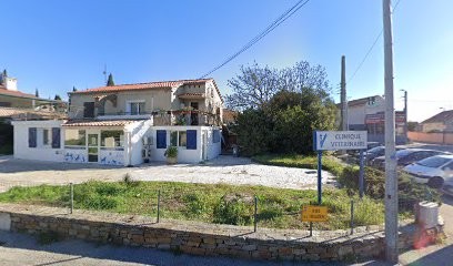 Vincent Marion, Clinique Vétérinaire à La Garde
