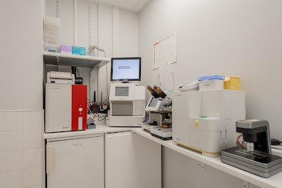 Clinique Vétérinaire Place De La République - Lens - Sevetys, Clinique Vétérinaire à Lens