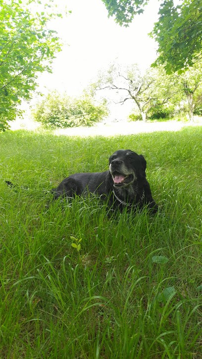 Clinique Vétérinaire Mon Véto Noisy le Sec, Clinique Vétérinaire à Noisy-le-Sec