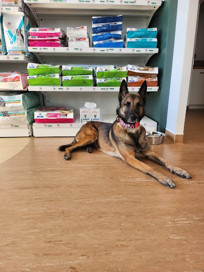 VET-OSTEO-PLUS, Clinique Vétérinaire à Parentis-en-Born