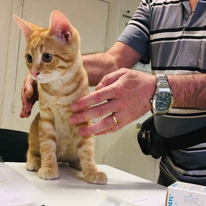 Debray Christine, Clinique Vétérinaire à Sarcelles