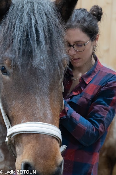 Dre Karine Troitzky - OPAVET, Clinique Vétérinaire à L'Isle-en-Dodon