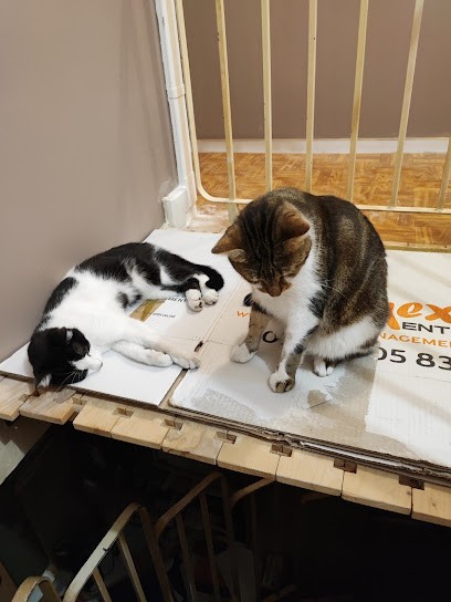 Clinique Vétérinaire de Villepinte, Clinique Vétérinaire à Villepinte