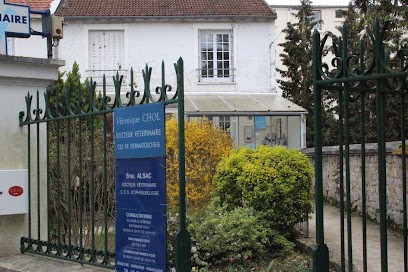 Alsac Sybil, Clinique Vétérinaire à Fontainebleau
