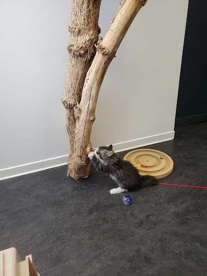 Vet&Zen - Dr Jeanne Tarneaud - Vétérinaire à Molsheim, Clinique Vétérinaire à Molsheim