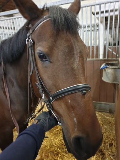 Veterinary Clinic Du Breil, Clinique Vétérinaire à Saumur