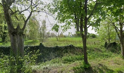 S C P Bertrand Dupriez Slosse, Clinique Vétérinaire à Quesnoy-sur-Deûle