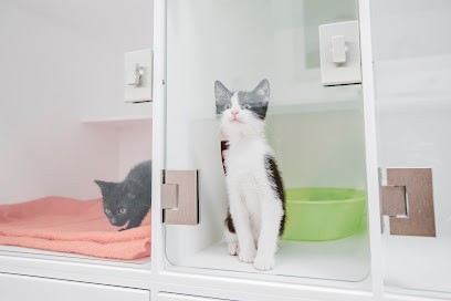 Clinique Vétérinaire Saint-Exupéry (Label CAT FRIENDLY CLINIC), Clinique Vétérinaire à Gaillac