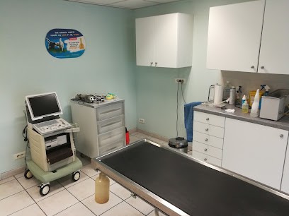 Prot Régis, Clinique Vétérinaire à Limeil-Brévannes