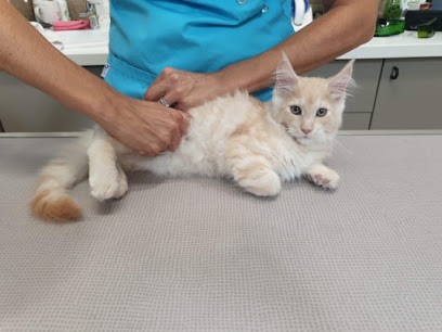 KineVetosteo Ostéopathie Canine Kinésithérapie ESPRIVET, Clinique Vétérinaire à Libourne
