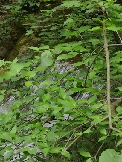 Clinique vétérinaire de la source, Clinique Vétérinaire à Saint-Zacharie