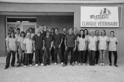 Veterinarian Of The Bastide De L'Isle Clinic, Clinique Vétérinaire à L'Isle-sur-la-Sorgue
