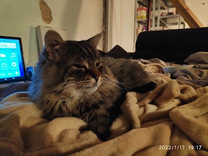 GIORNI Elisabetta - CLINIQUE VETERINAIRE MONTLUCON, Clinique Vétérinaire à Montluçon