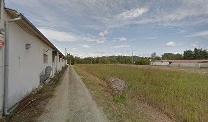 Cabinet veterinaire Palmas Pinet, Clinique Vétérinaire à Mirepoix