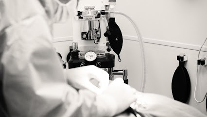 Cabinet Vétérinaire Léonis Grau-du-Roi, Clinique Vétérinaire au Grau-du-Roi