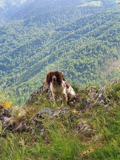 Clinique Veterinaire Des Thermes, Clinique Vétérinaire à Salies-du-Salat