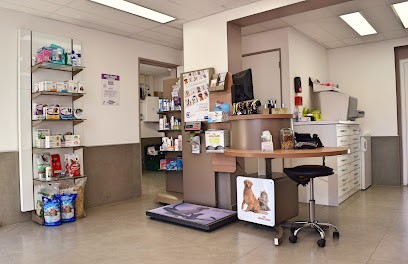 Cabinet Vétérinaire Des Flots Palavas, Clinique Vétérinaire à Palavas-les-Flots