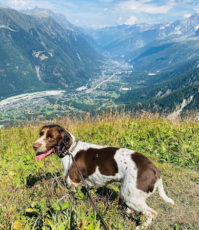 CABINET VETERINAIRE, Clinique Vétérinaire à Megève