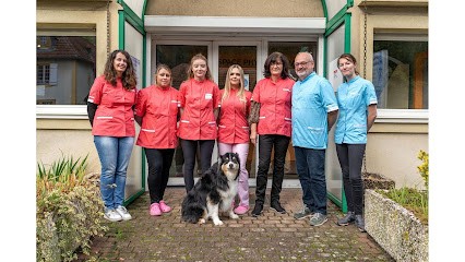Clinique Vétérinaire Argos, Clinique Vétérinaire à Rozérieulles