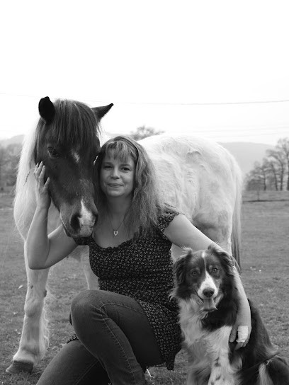 Clinique Veterinaire De L'Albanais, Clinique Vétérinaire à Rumilly