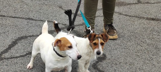 Clinique Veterinaire Du Parc, Clinique Vétérinaire à Saintes