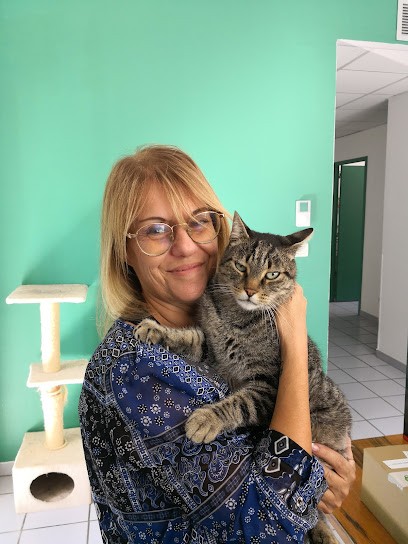 Okivét Cabinet Vétérinaire Des Marronniers, Clinique Vétérinaire à Marignane