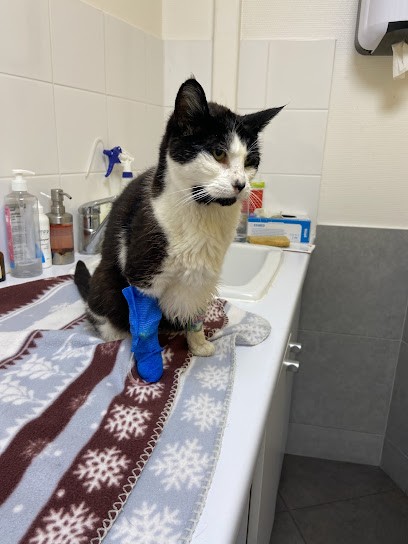 Santoria Veterinary Clinic Lézarde, Clinique Vétérinaire à Montivilliers