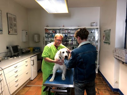 Clinique Veterinaire Robin-Lejeune, Clinique Vétérinaire à Rabastens