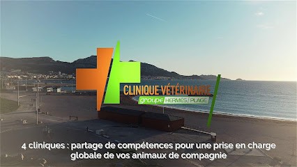 Veterinary Clinic Of The Beach, Clinique Vétérinaire à Marseille 08