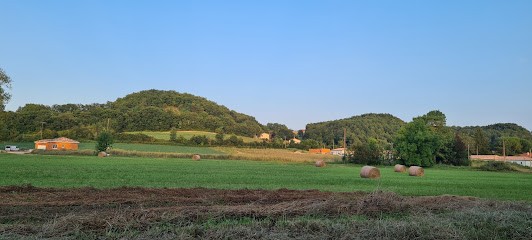 DV Le Gal Mélina, Clinique Vétérinaire à Haulies