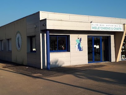 Clinique Vétérinaire Des Mele'chiens Et Chats, Clinique Vétérinaire à Melesse