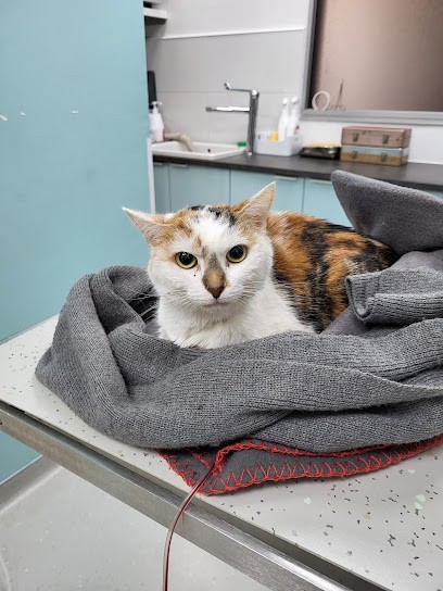 Veterinary clinic Lesson, Clinique Vétérinaire à Rosny-sous-Bois
