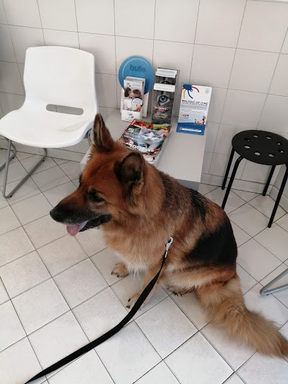 Veterinary Clinic Vetoval, Clinique Vétérinaire à Eysines