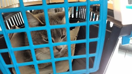 CLINIQUE VETERINAIRE SAINT-ROCH. Drs COTTIN Et LEROY, Clinique Vétérinaire à Genech