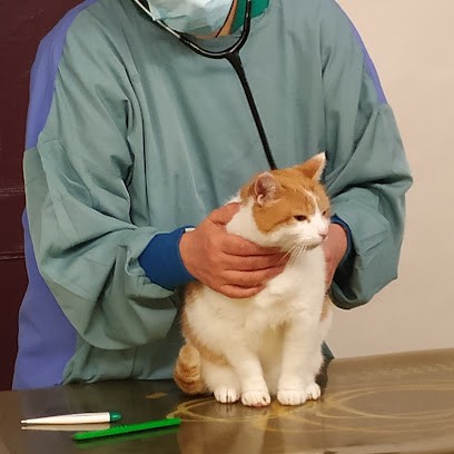 Marquer Anne, Clinique Vétérinaire à Granville