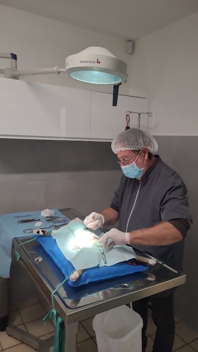 Clinique Vétérinaire Mont-Vet, Clinique Vétérinaire à Montmoreau