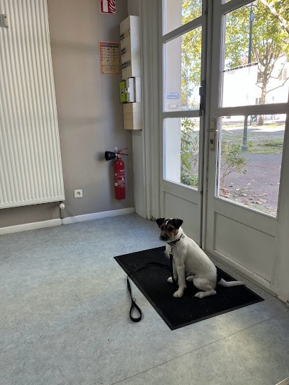 Mauffre Sophie, Clinique Vétérinaire à Mirebeau-sur-Bèze