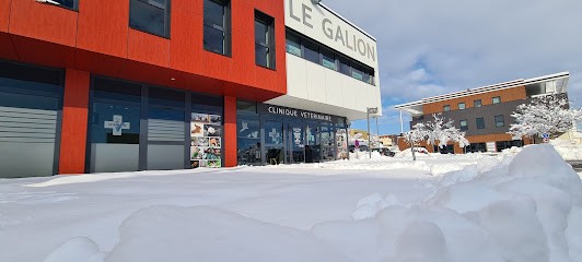 Clinique Vétérinaire Du Galion, Clinique Vétérinaire à Obernai