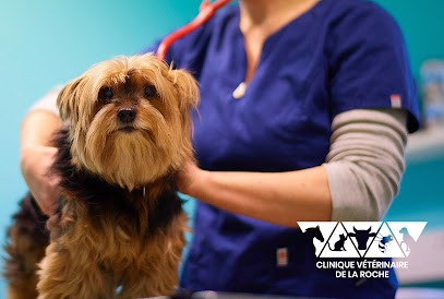 Clinique Vétérinaire de Gorron, Clinique Vétérinaire à Gorron