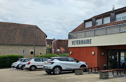 Veterinary Clinic Pirey, Clinique Vétérinaire à Pirey