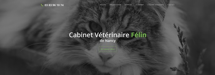 Cabinet vétérinaire Félin - Dr Marie-Pierre François, Clinique Vétérinaire à Nancy