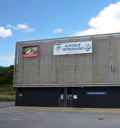Clinique Vétérinaire Copernic Vannes, Clinique Vétérinaire à Vannes