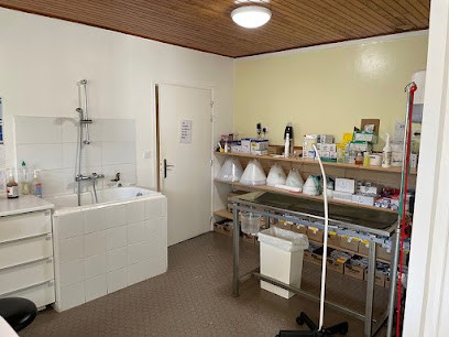 Cabinet Vétérinaire VPLUS De Saint Savin, Clinique Vétérinaire à Saint-Savin